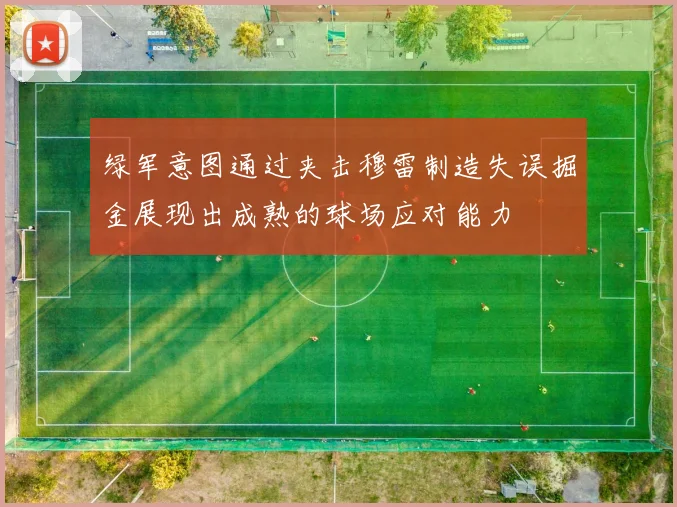绿军意图通过夹击穆雷制造失误掘金展现出成熟的球场应对能力