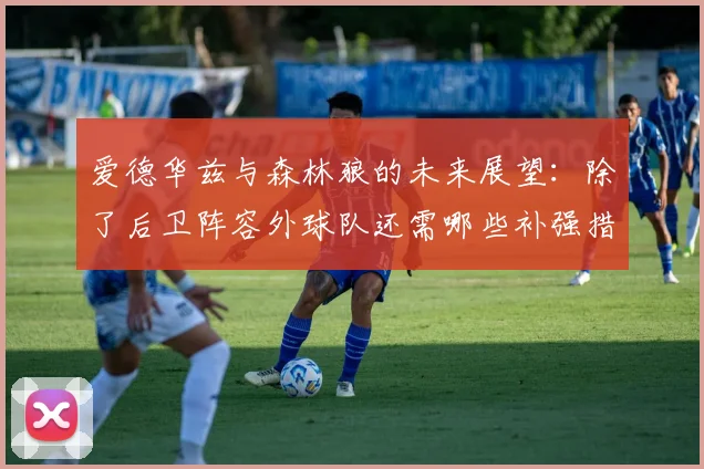 爱德华兹与森林狼的未来展望：除了后卫阵容外球队还需哪些补强措施