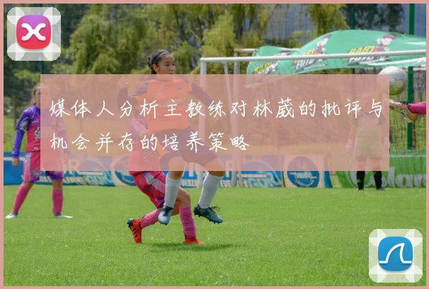 媒体人分析主教练对林葳的批评与机会并存的培养策略